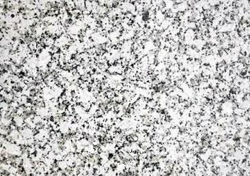 Platinum White Granite for Flooring